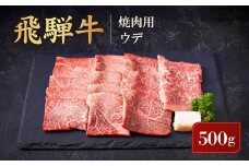飛騨牛 焼肉用 ウデ 500g | 黒毛和牛 ブランド和牛 BBQ 肉料理 旨味 高山米穀協業組合 FA007VC13