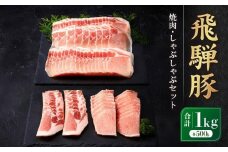 飛騨豚 焼肉・しゃぶしゃぶセット 合計1kg｜ロース 大容量 たっぷり 肉 セット 食べ比べ BBQ 鍋 豚肉 高山米穀協業組合 FA010VC13