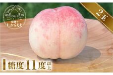 【2025年先行予約】飛騨のたからもも  糖度11度以上（2玉）| 朝採り 桃 もも 極上の甘さ 濃厚 甘い 贈答 農家直送 飛騨の朝採り桃 飛騨高山 つむぎ果樹園 GH012