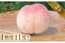 【2025年発送中】飛騨のたからもも  糖度11度以上（2玉）| 朝採り 桃 もも 極上の甘さ 濃厚 甘い 贈答 農家直送 飛騨の朝採り桃 飛騨高山 つむぎ果樹園 GH012
