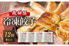 飛騨豚餃子12個入り×4セット（簡易包装）| おいしい焼き方説明書付き 自宅使いに最適 肉 食品 人気 便利 飛騨高山 餃子工房らん NL005