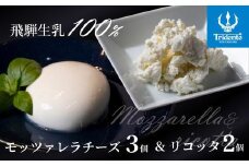 飛騨生乳100％ モッツァレラ3個 & リコッタ2個セット | セット チーズ 冷蔵 濃厚 低温殺菌 乳製品 おいしい 人気 チーズ工房トリデンテ LF014