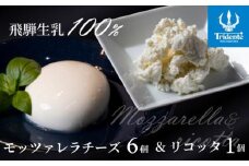 飛騨生乳100％ モッツァレラ6個 & リコッタ1個セット | セット チーズ 冷蔵 濃厚 低温殺菌 乳製品 おいしい 人気 チーズ工房トリデンテ LF016