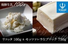 飛騨生乳100％ リコッタ1個 &  モッツァレラチーズ生ブロック1個セット | セット チーズ 冷蔵 濃厚 低温殺菌 乳製品 おいしい 人気 チーズ工房トリデンテ LF017