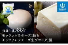 飛騨生乳100％ モッツァレラ1個 &  モッツァレラチーズ生ブロック1個セット | セット チーズ 冷蔵 濃厚 低温殺菌 乳製品 おいしい 人気 チーズ工房トリデンテ LF018