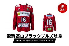『飛騨高山ブラックブルズ岐阜』オーセンティックユニフォーム・ゴールキーパー 赤 | ハンドボール 女子ハンド スポーツで人生を豊かに、故郷に活力を 応援 一体感 飛騨高山 特定非営利活動法人飛騨高山ハンドボールクラブ  SG003
