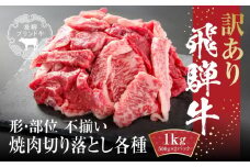 訳あり 飛騨牛 焼肉 切り落とし 1kg(500g×2パック) 冷凍真空パック | 肉 お肉 切落し 不揃い 焼肉 焼き肉 やきにく 黒毛和牛 和牛 人気 おすすめ 牛肉 ギフト お取り寄せ 飛騨高山ミート MZ036