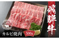 飛騨牛 カルビ焼肉 500g(1パック) 冷凍真空パック | 肉 お肉 焼肉 焼き肉 やきにく 黒毛和牛 和牛 人気 おすすめ 牛肉 ギフト お取り寄せ 飛騨高山ミート MZ037
