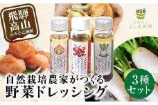 自然栽培農家のドレッシング3種 | 自家栽培農家 ドレッシング サラダ 自家栽培 洋風ドレッシング 玉ねぎドレッシング 大根おろしドレッシング 梅ドレッシング 飛騨高山 よしま農園 CK015