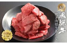 【形不揃い訳あり】A5等級飛騨牛 焼肉 切り落とし600g（冷凍配送）| 牛肉 肉 和牛 キャンプ 肉料理 ブランド牛 不揃い 人気 国産 お取り寄せ グルメ おすすめ 株式会社岩ト屋 HF045