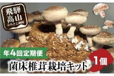 【11月発送開始】 定期便 菌床椎茸栽培キット 1個×全4回（11月・2月・5月・10月に発送）| しいたけ シイタケ 椎茸 栽培キット きのこ 栽培 菌床 しいたけ菌 椎茸菌 栽培ブロック 採れたて とれたて 夏休み 自由研究 園芸 食育 飛騨高山きのこの里 GK100VC11