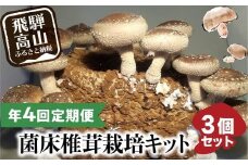 【2026年2月発送開始】 定期便 菌床椎茸栽培キット 3個×全4回（2月・5月・10月・1月に発送）| しいたけ シイタケ 椎茸 栽培キット きのこ 栽培 菌床 しいたけ菌 椎茸菌 栽培ブロック 採れたて とれたて 夏休み 自由研究 園芸 食育 飛騨高山きのこの里 GK102VC02