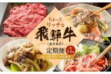 ちょっとリッチな飛騨牛（希少部位）約2.4kg【1月・4月・7月・10月発送】定期便4回  | みすじ ウデ すき焼き しゃぶしゃぶ  希少部位 600g 和牛 国産牛 冷凍 飛騨高山 飛騨牛のこもり FC105