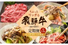 ちょっとリッチな飛騨牛（希少部位） 【2月・5月・8月・11月発送】定期便 4回 | みすじ ウデ すき焼き しゃぶしゃぶ  希少部位 和牛 国産牛 冷凍 飛騨高山 飛騨牛のこもり FC109