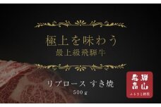 【飛騨地方肥育限定】飛騨牛リブロース すき焼き用 500g | 飛騨牛 肉 牛肉 食品 ロース すき焼き 精肉店 和牛 おいしい 飛騨高山 天狗中央精肉店 SS002