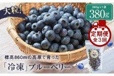 【定期便】治助ファームの北部ハイブッシュブルーベリー「冷凍果実」380g×3回 | ブルーベリー 冷凍 果物 フルーツ 人気 おいしい 飛騨高山 治助ファーム LJ100