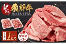 (訳あり）飛騨牛 焼肉三昧 定期便全3回【２ヶ月に１回発送】 | 飛騨牛 肉 おいしい 飛騨高山 切り落とし  焼肉 肉の匠家 BV108