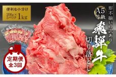 【定期便】 A5等級 飛騨牛 切り落とし 1kg（200g×5パック） 全３回｜小分け 肉 にく 切り落とし 飛騨牛  飛騨高山 岩ト屋 HF115