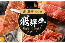 【定期便】全3回 飛騨牛 赤身（ステーキ /焼肉 / すき焼き） | 肉 お肉 焼肉 焼き肉 やきにく ステーキ すき焼き 黒毛和牛 和牛 牛肉 飛騨高山ミート MZ103