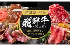 【定期便】全5回 飛騨牛 バラエティ（ステーキ /焼肉 / すき焼き/切り落とし） | 肉 お肉 黒毛和牛 和牛 個包装 小分け 牛肉 お取り寄せ 飛騨高山ミート MZ104