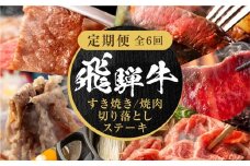 【定期便】全6回 飛騨牛 バラエティ（ステーキ /焼肉 / すき焼き/切り落とし） | 肉 お肉 黒毛和牛 和牛 個包装 小分け 牛肉 お取り寄せ 飛騨高山ミート MZ105