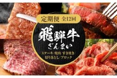 【定期便】全12回 飛騨牛 ざんまい(ステーキ/焼肉/すき焼き/切り落とし/ブロック) | 肉 お肉 黒毛和牛 和牛 個包装 小分け 牛肉 お取り寄せ 飛騨高山ミート MZ106
