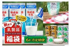 【6か月定期便】牧成舎の訳あり乳製品福袋（牛乳・ヨーグルト・チーズ詰め合わせ）訳あり 福袋 乳製品 チーズ 詰め合せ  | 牧成舎 DF229