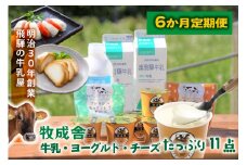 6か月定期便【飛騨乳製品バラエティセット】牛乳・ヨーグルト・チーズ詰め合わせ　11点セット｜乳製品 習慣 詰合せ 家族 朝食  牧成舎 牧成舎 DF245