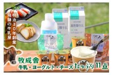 【飛騨乳製品バラエティセット】牛乳・ヨーグルト・チーズ詰め合わせ　11点｜ヨーグルト 乳製品 デザート 朝食 セット 詰合せ 牧成舎 DF010