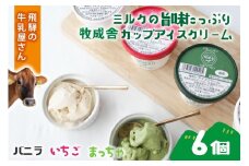 【6個セット】牧成舎のカップアイスクリーム｜バニラ・抹茶・いちご 各2個（計6個）｜飛騨産ミルク使用・お取り寄せ・ギフト対応可｜飛騨高山 牧成舎 DF046