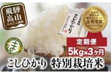 （全3回）【定期便 3ヶ月】飛騨こしひかり 5kg コシヒカリ 特別栽培米 岐阜県産 令和７年産 新米 | コシヒカリ 特別栽培米 飛騨高山 まんま農場 LT100