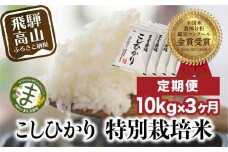 【定期便 3ヶ月】（全3回）【定期便 3ヶ月】飛騨こしひかり 10kg コシヒカリ 特別栽培米 岐阜県産 令和７年産 新米 | コシヒカリ 特別栽培米 飛騨高山 まんま農場 LT102