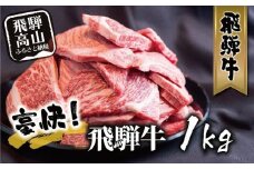 【2026年2月発送】飛騨牛 訳あり焼肉1kg 切り落とし | 牛肉 訳あり 部位 大きさ不揃い 日付指定不可 冷凍 焼き肉 BBQ バーベキュー 切落し 和牛 ブランド牛 株式会社丸明 LR008VC02