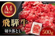 【飛騨牛】 切り落とし 500g 和牛 ブランド牛 国産 牛肉 多治見市 / 渡辺精肉店 [TAZ004]