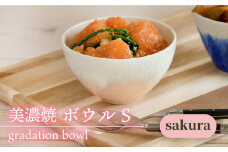 ＼美しく咲いた結晶釉のうつわ／【美濃焼】ボウル gradation bowl S 『sakura』 器 食器 小鉢 多治見市/柴田商店  [TAL002]