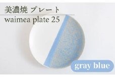 ＼美しく咲いた結晶釉のうつわ／【美濃焼】25cmプレート waimea plate 25 『gray blue』 器 食器 皿 多治見市/柴田商店 [TAL011]