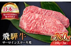 【飛騨牛】 A4 等級以上 サーロイン ステーキ用 3枚 (計750g) 和牛 ブランド牛 国産 牛肉 多治見市 / 渡辺精肉店 [TAZ001]