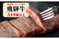 飛騨牛 A4 等級以上 サーロイン ステーキ用