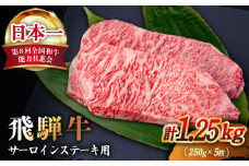 【飛騨牛】 A4 等級以上 サーロイン ステーキ用 5枚 (計1.25kg) 和牛 ブランド牛 国産 牛肉 多治見市 / 渡辺精肉店 [TAZ002]