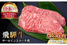 【飛騨牛】 A4 等級以上 サーロイン ステーキ用 10枚 (計2.5kg) 和牛 ブランド牛 国産 牛肉 多治見市 / 渡辺精肉店 [TAZ003]