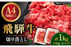 【飛騨牛】 切り落とし 1kg 和牛 ブランド牛 国産 牛肉 多治見市 / 渡辺精肉店 [TAZ005]