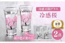 【温度で変化する】 グラス天開ぺアセット 『冷感桜』【丸モ高木陶器】≪多治見市≫ コップ ビールグラス 食器 [TBA001]