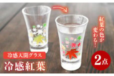 【温度で変化する】 グラス天開ぺアセット 『冷感紅葉』【丸モ高木陶器】≪多治見市≫ コップ ビールグラス 食器 [TBA003]