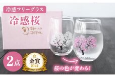 【温度で変化する】 フリーグラスペアセット 『冷感桜』【丸モ高木陶器】≪多治見市≫ コップ ビールグラス 食器 [TBA004]