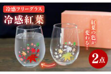 【温度で変化する】 フリーグラスペアセット 『冷感紅葉』【丸モ高木陶器】≪多治見市≫ コップ ビールグラス 食器 [TBA006]