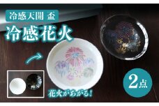 【温度で変化する】【美濃焼】 平盃ペアセット 『冷感花火』【丸モ高木陶器】≪多治見市≫ 食器 おしゃれ [TBA008]
