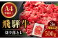 3回 定期便 飛騨牛 切り落とし 500g
