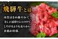 3回 定期便 飛騨牛 切り落とし 500g