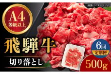 【6回定期便】【飛騨牛】 切り落とし 500g × 6回 (計3kg) 和牛 ブランド牛 国産 牛肉 多治見市 / 渡辺精肉店 [TAZ013]