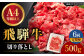 6回 定期便 飛騨牛 切り落とし 500g